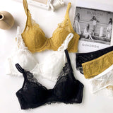 Pack of 2 Lace Net Wired Bra & Panty Set
