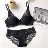 Pack of 2 Lace Net Wired Bra & Panty Set