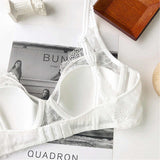 Pack of 2 Lace Net Wired Bra & Panty Set